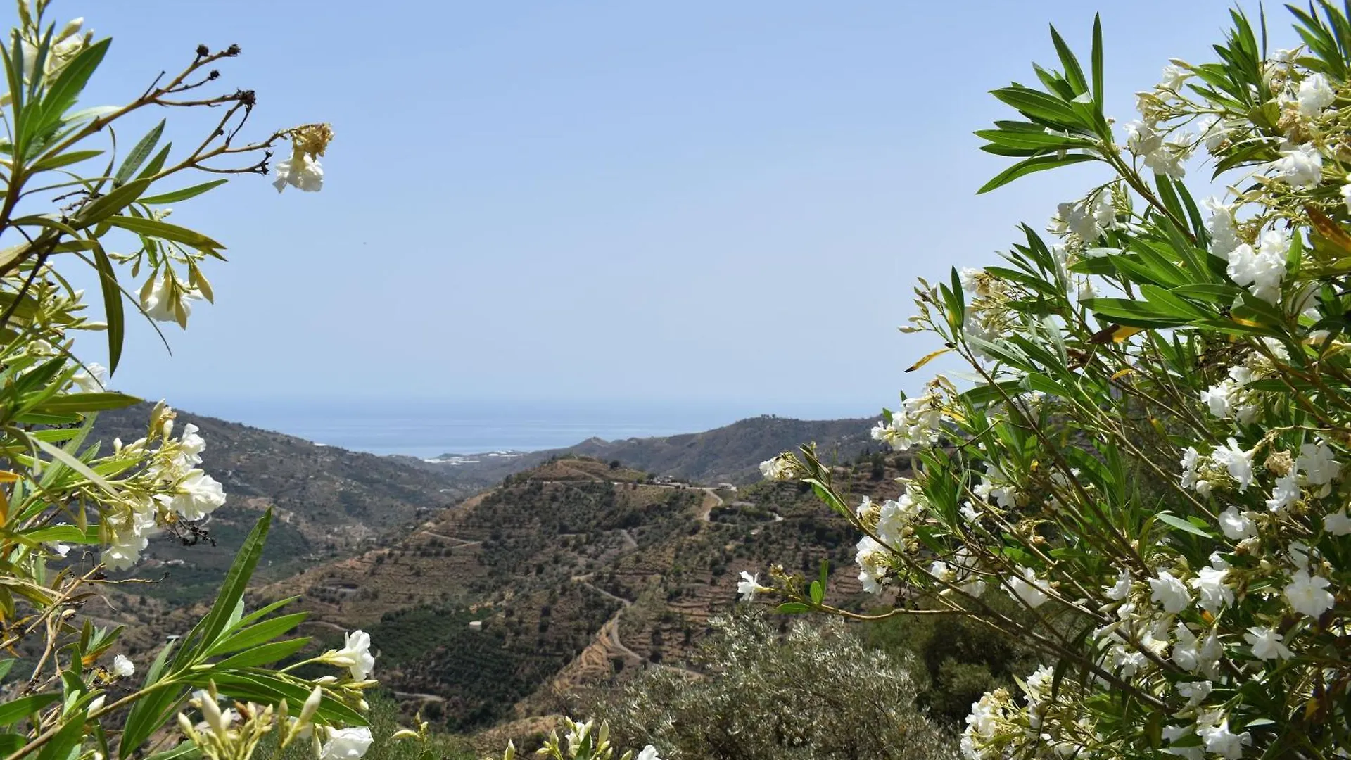 Finca Hornillo Mit Privatem Pool 康佩塔 度假居